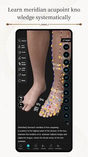 Acupuncture Master screenshot 5