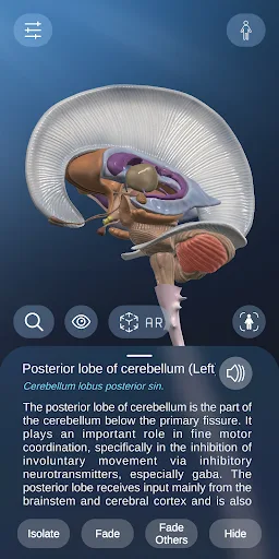 AR Anatomy screenshot 2