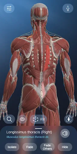 AR Anatomy screenshot 3