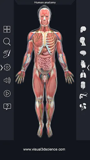 Human Anatomy screenshot 2
