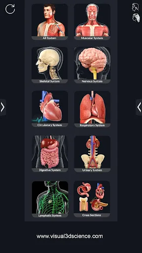 Human Anatomy screenshot 4