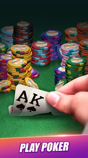 Mega Hit Poker: Texas Holdem screenshot 1