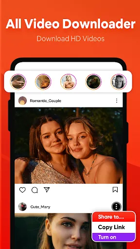 Fast Video Downloader - Story screenshot 2