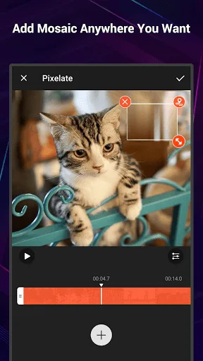 Відеоредактор VideoShow Pro screenshot 4