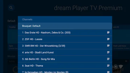 dream Player IPTV for TV screenshot 5