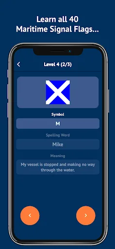 Maritime Academy: ICS Flags screenshot 1