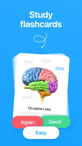 Cogni: Estudia Flashcards screenshot 1