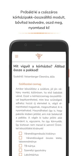 Császárvonal screenshot 5