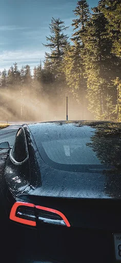 Tessie — Track your Tesla screenshot 2