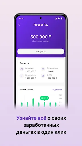 Prosper Pay — всё для работы screenshot 2