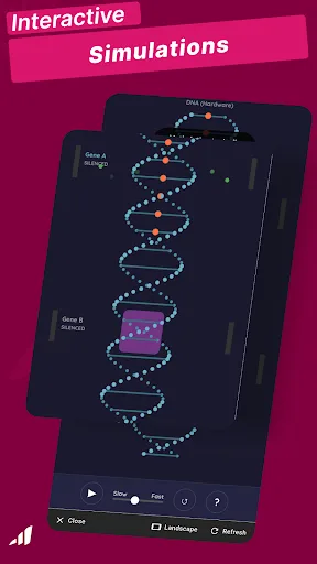 General Psychology MasterNow screenshot 3