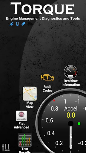 Torque Pro (OBD2 / coche) screenshot 1