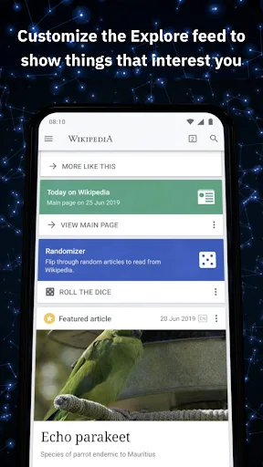 Wikipedia screenshot 5