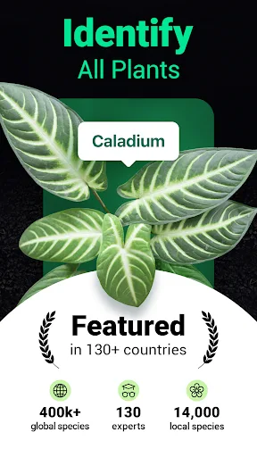 Plantum・Распознавание растений screenshot 1