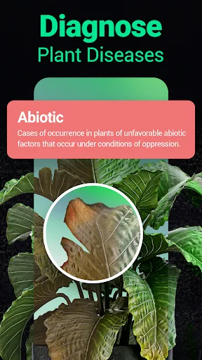 Plantum・Распознавание растений screenshot 2
