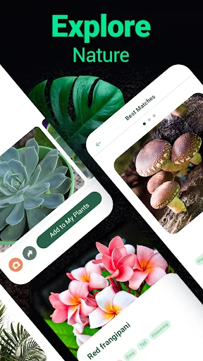 Plantum・Распознавание растений screenshot 4