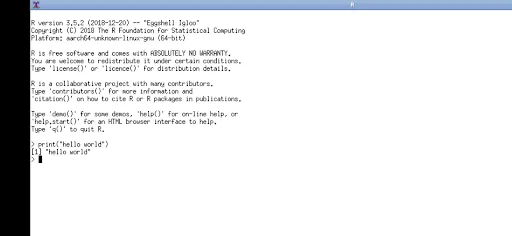 R screenshot 4