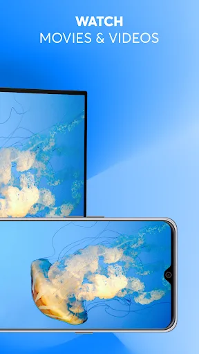 Screen Mirroring - TV Cast screenshot 3