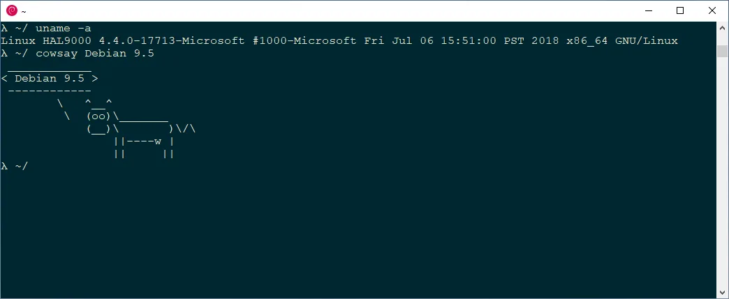 Debian screenshot 1