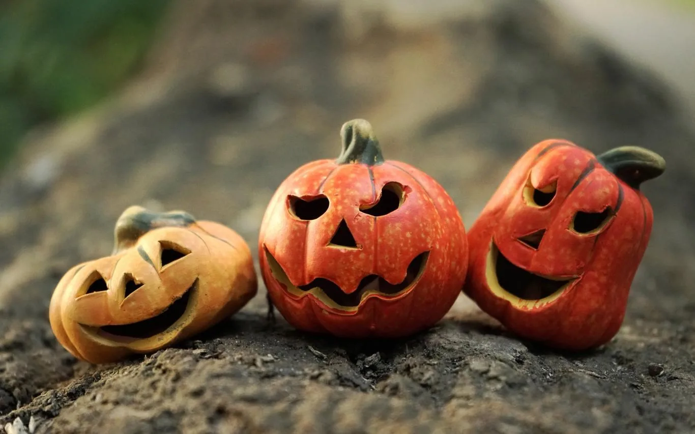 Pumpkin Season screenshot 1