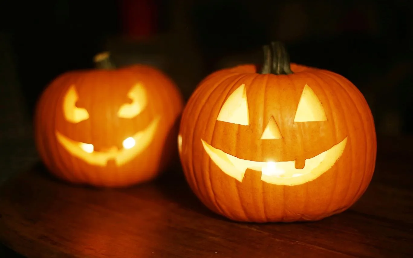 Pumpkin Season screenshot 2