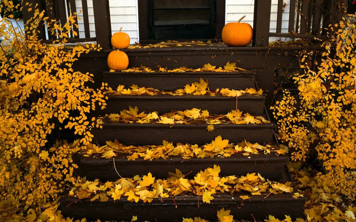 Pumpkin Season screenshot 3