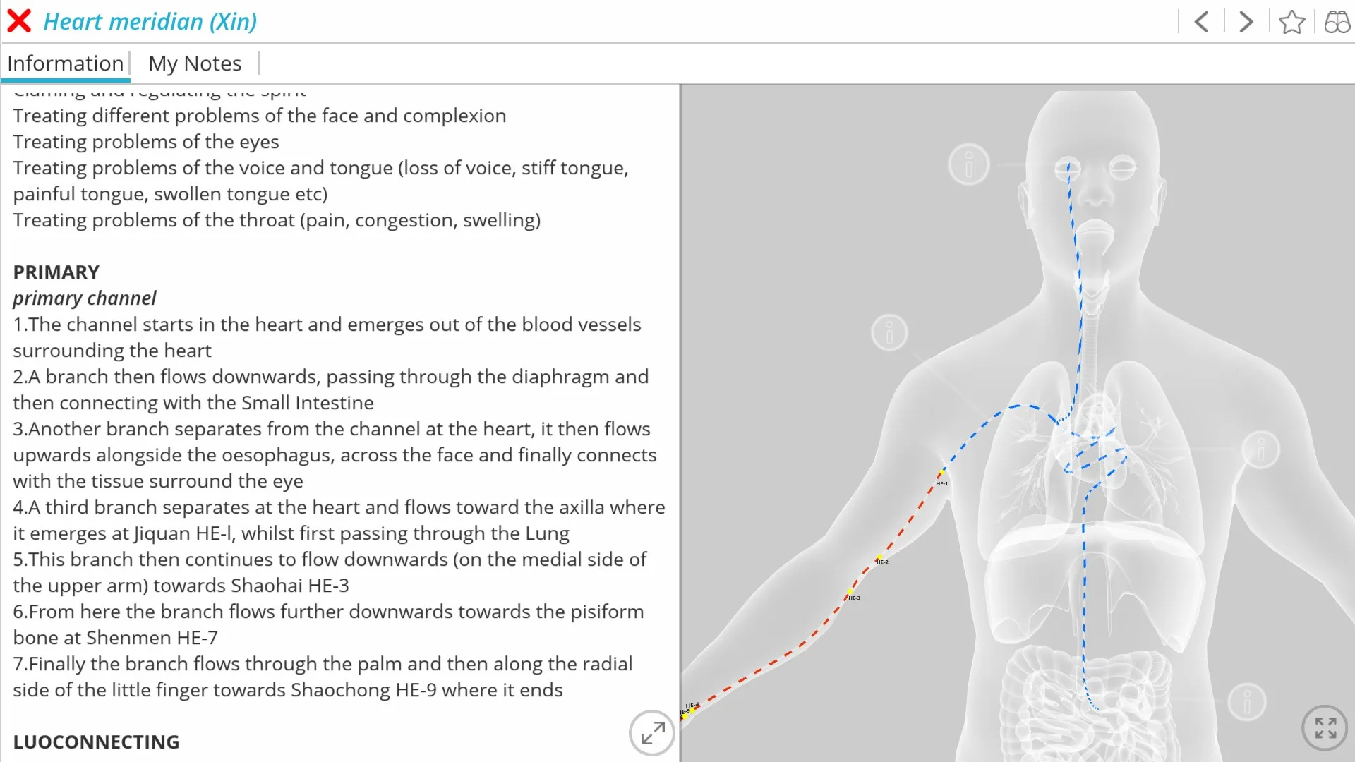 Visual Acupuncture 3D - Human screenshot 1