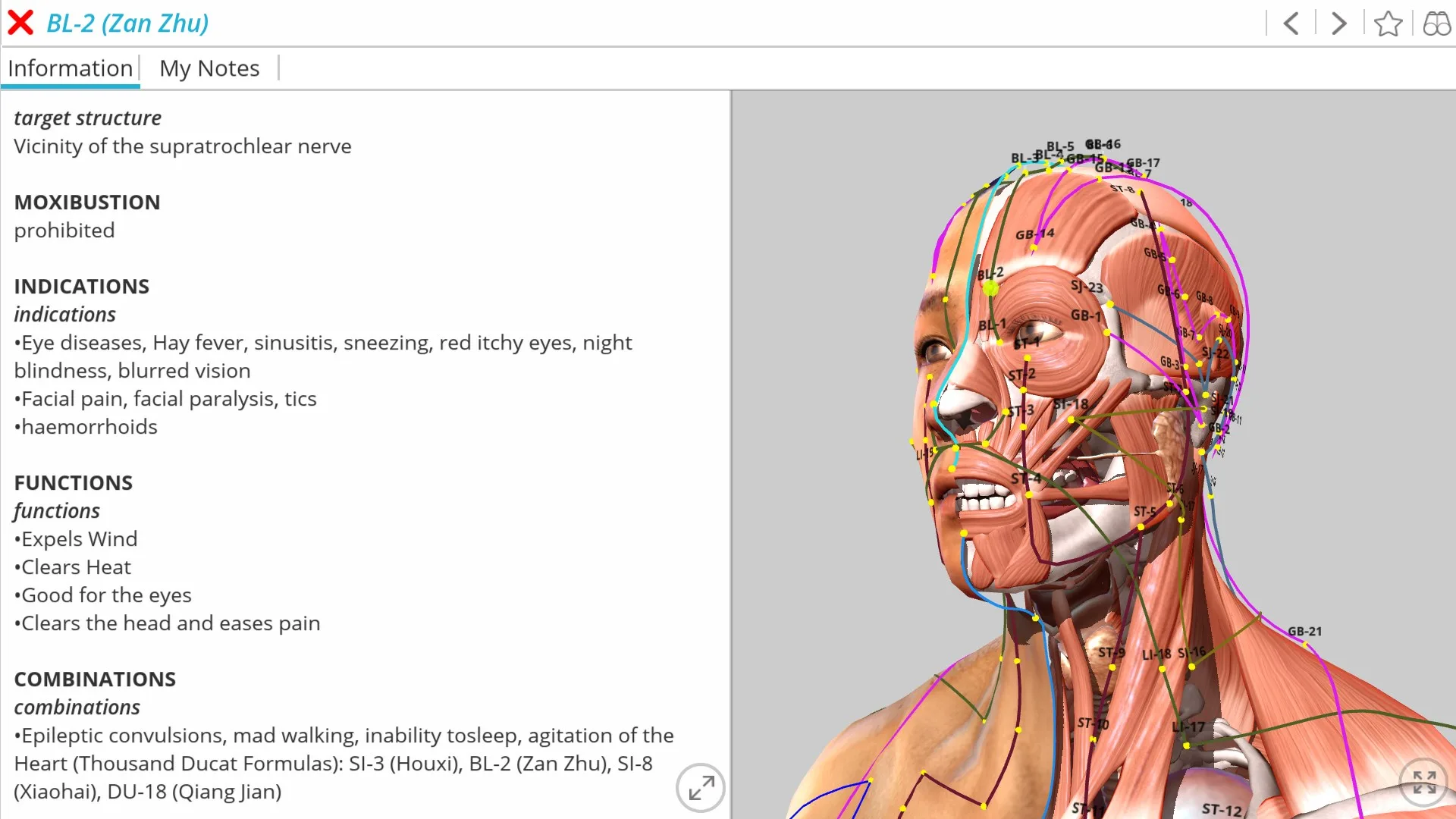 Visual Acupuncture 3D - Human screenshot 4