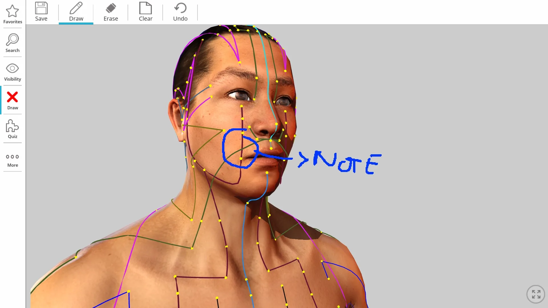 Visual Acupuncture 3D - Human screenshot 5