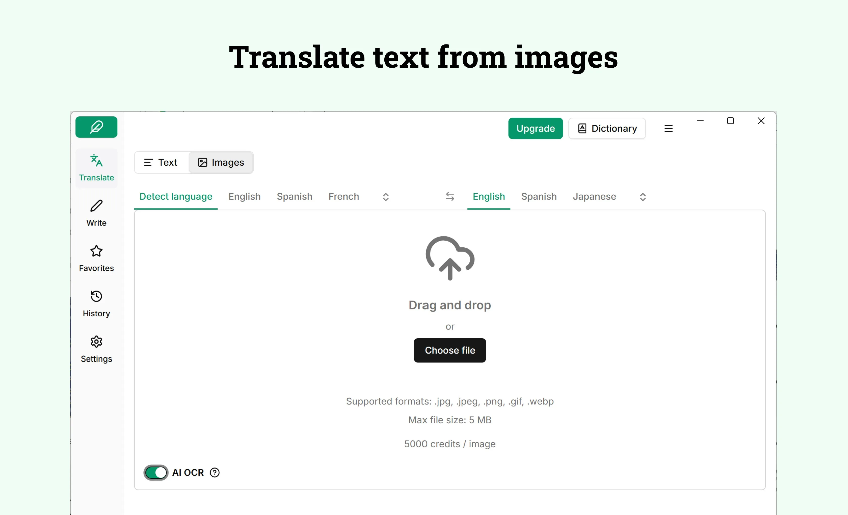 Lexibird Translate: AI Translator screenshot 3