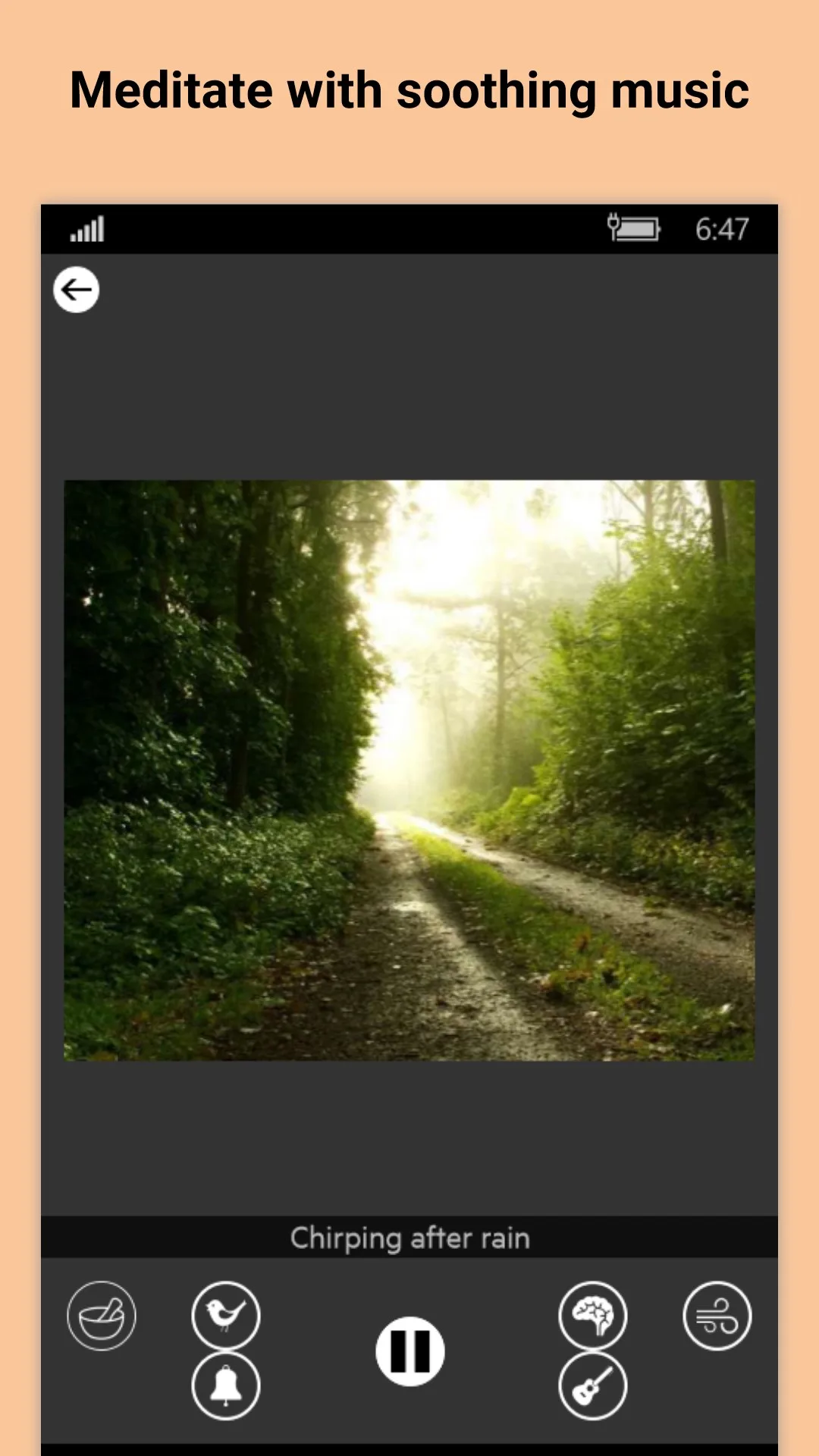 Relájese en el bosque - Sonidos de la naturaleza screenshot 3