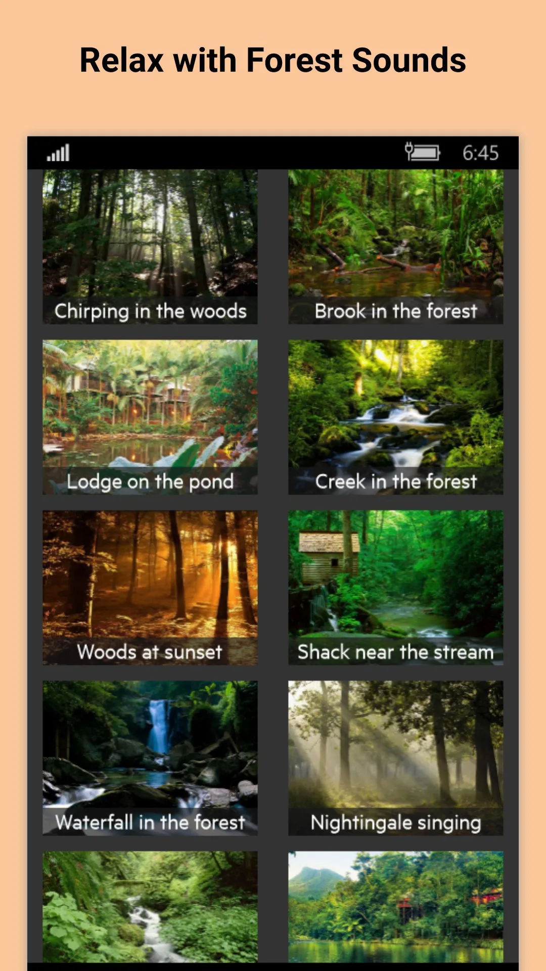 Relájese en el bosque - Sonidos de la naturaleza screenshot 4