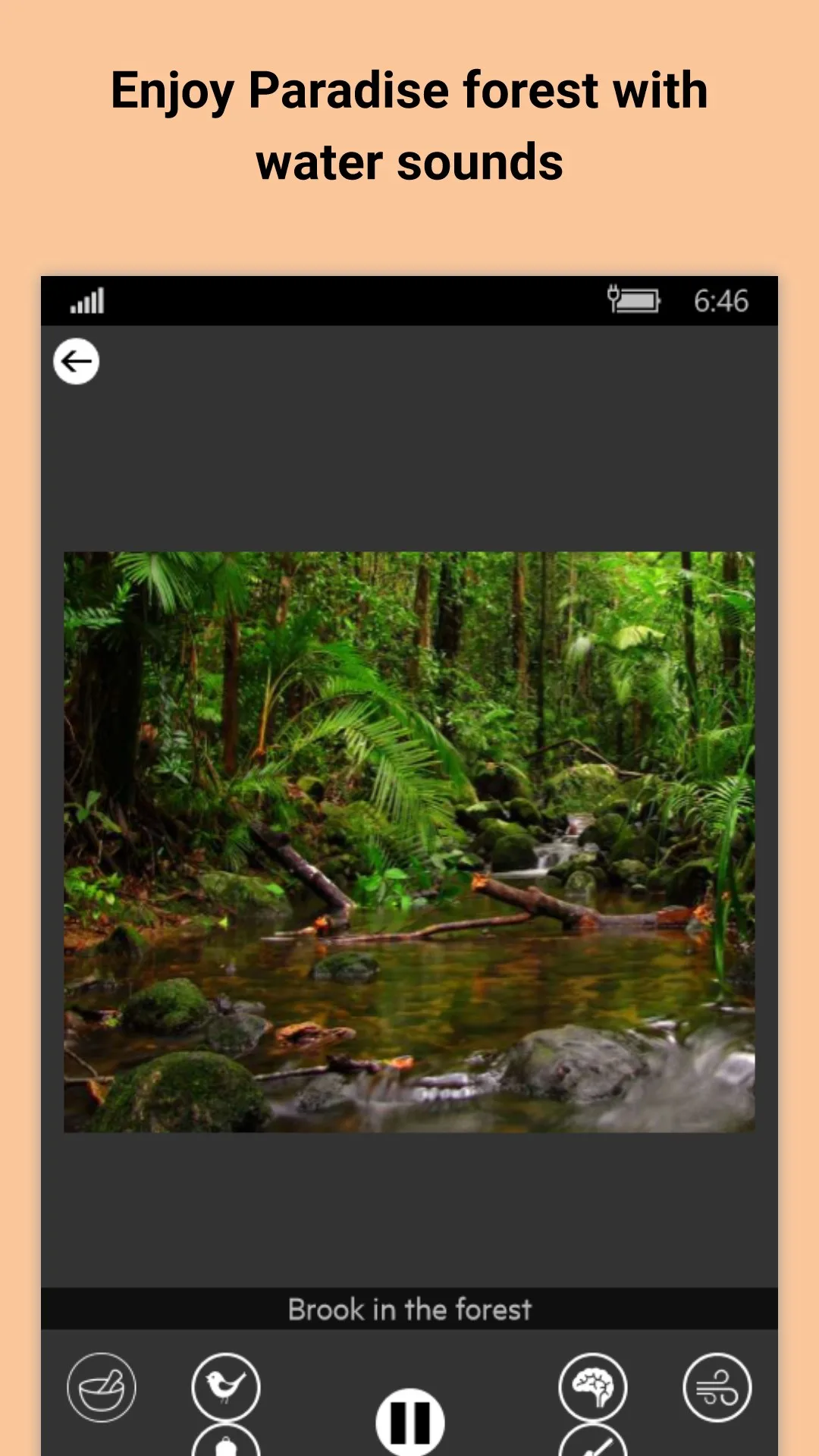 Relájese en el bosque - Sonidos de la naturaleza screenshot 5
