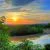 Amazon Rainforest