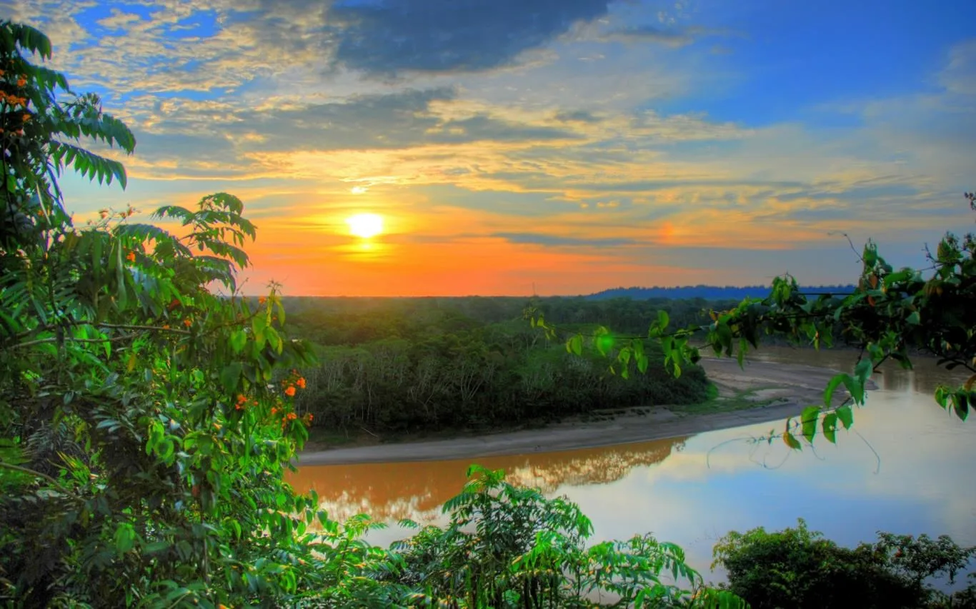 Amazon Rainforest screenshot 4