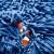 Undersea Life
