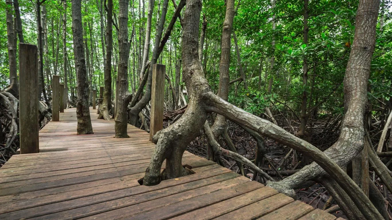 Wooden Walkways screenshot 3