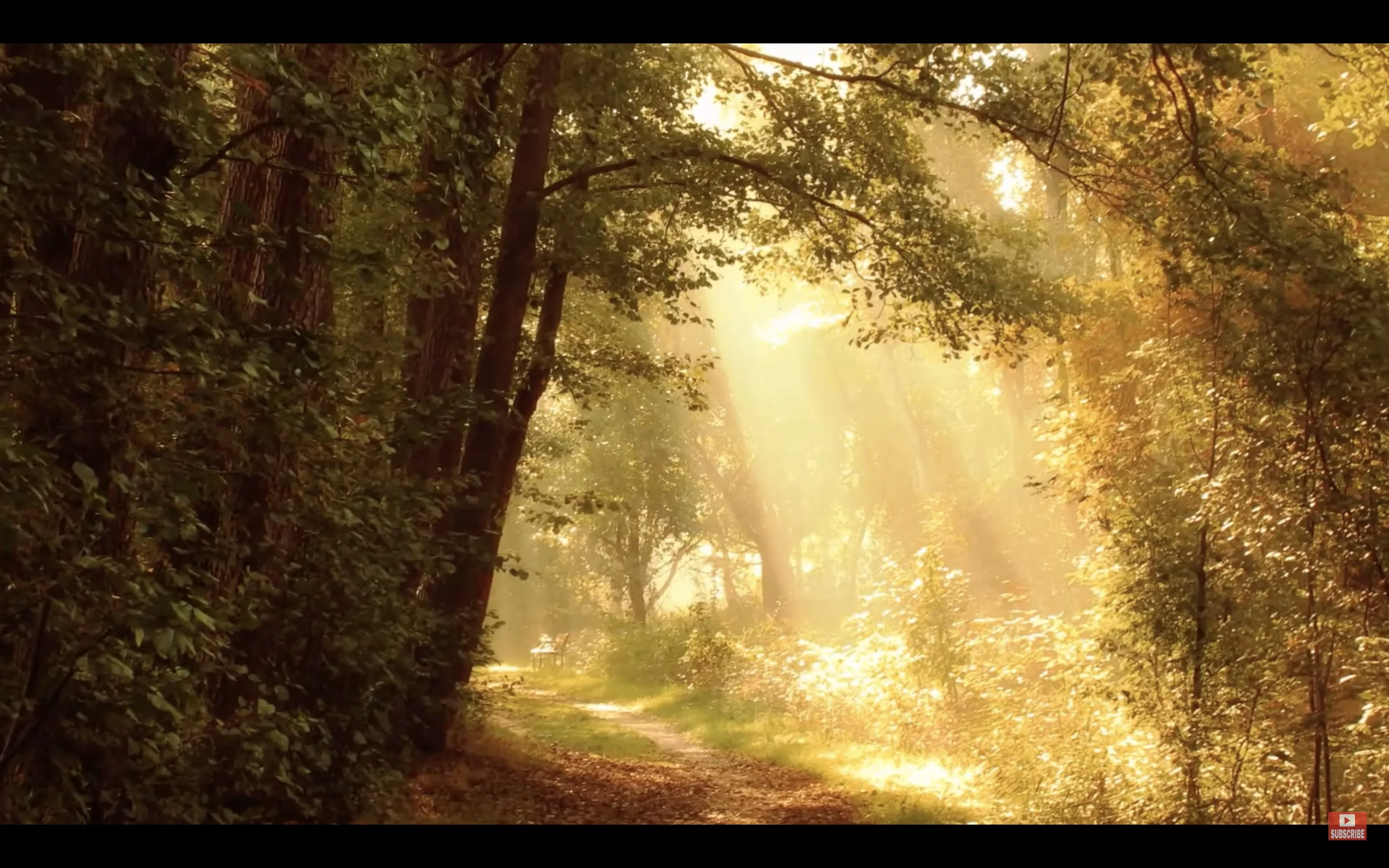 All Video Player. screenshot 1