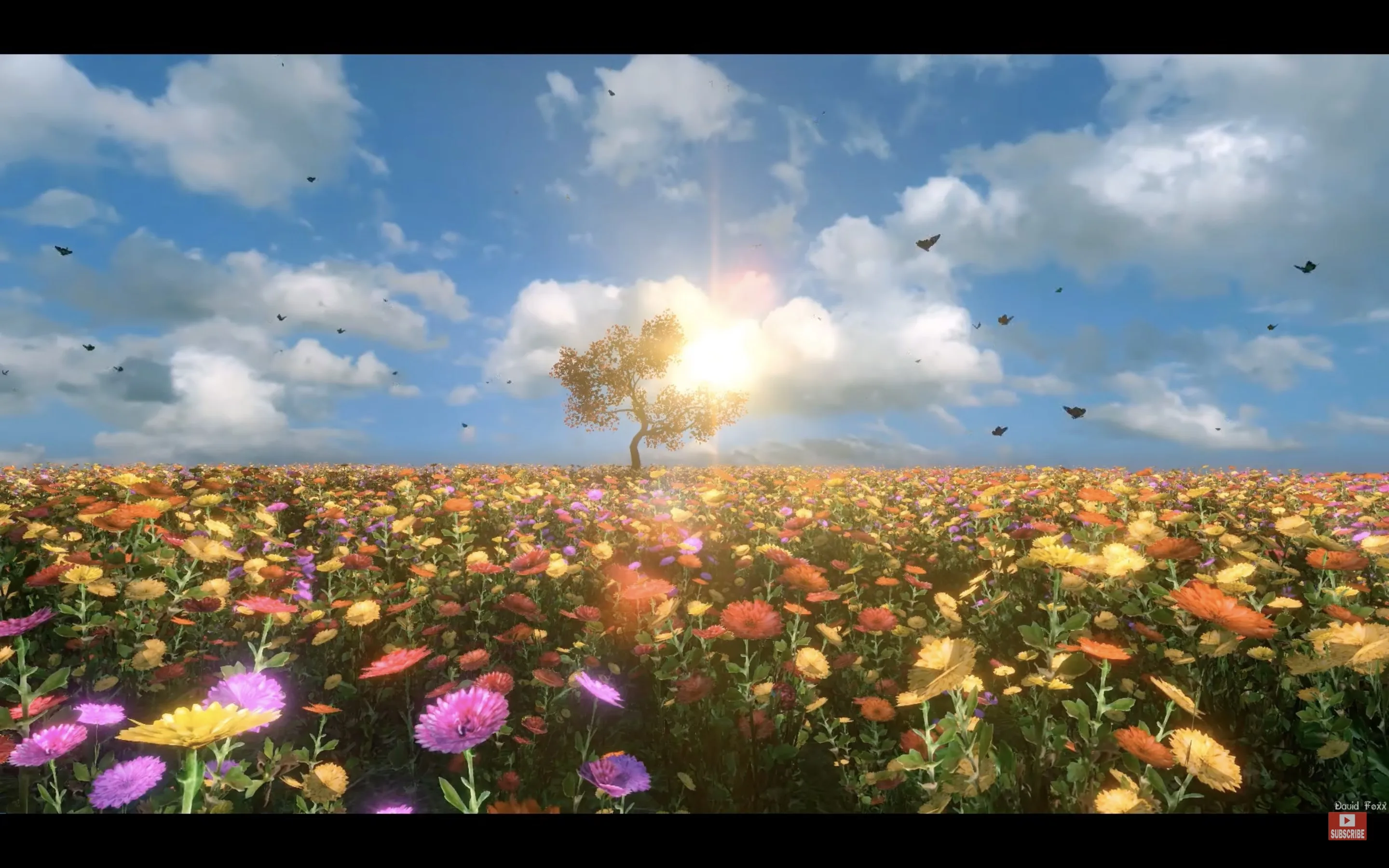 All Video Player. screenshot 2
