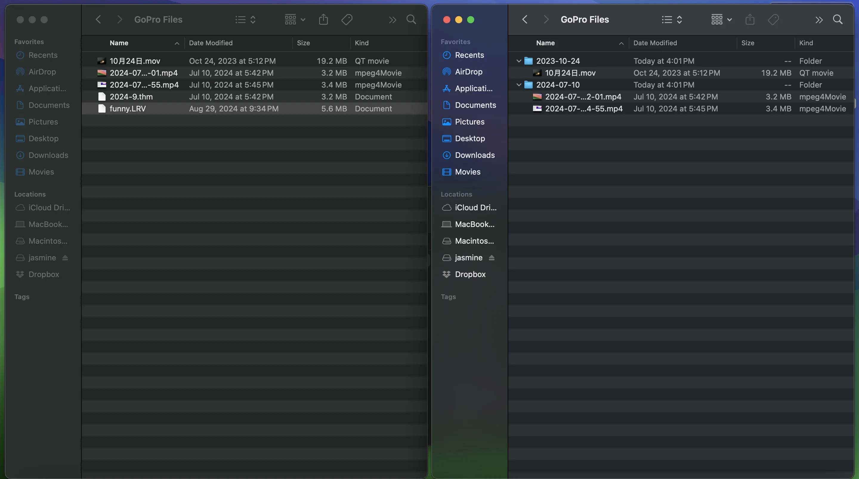 Organize GoPro Files screenshot 1