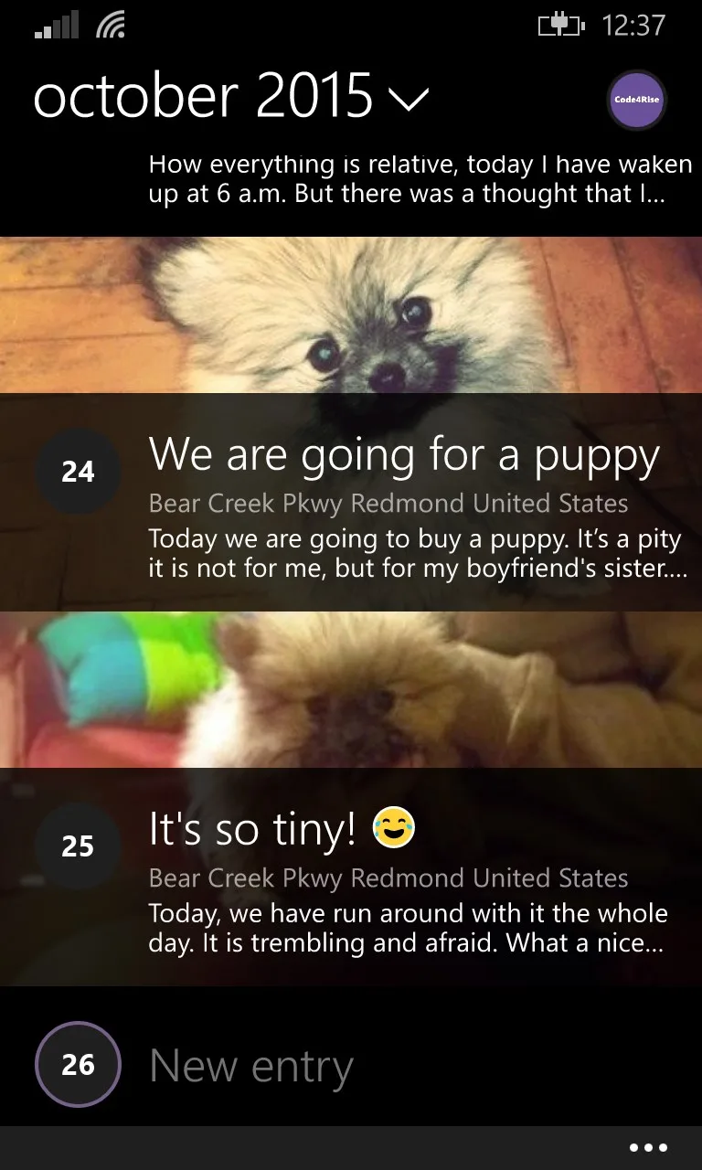 Personal Digital Diary screenshot 1