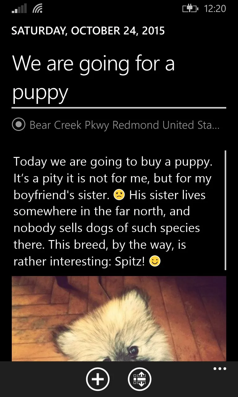 Personal Digital Diary screenshot 2