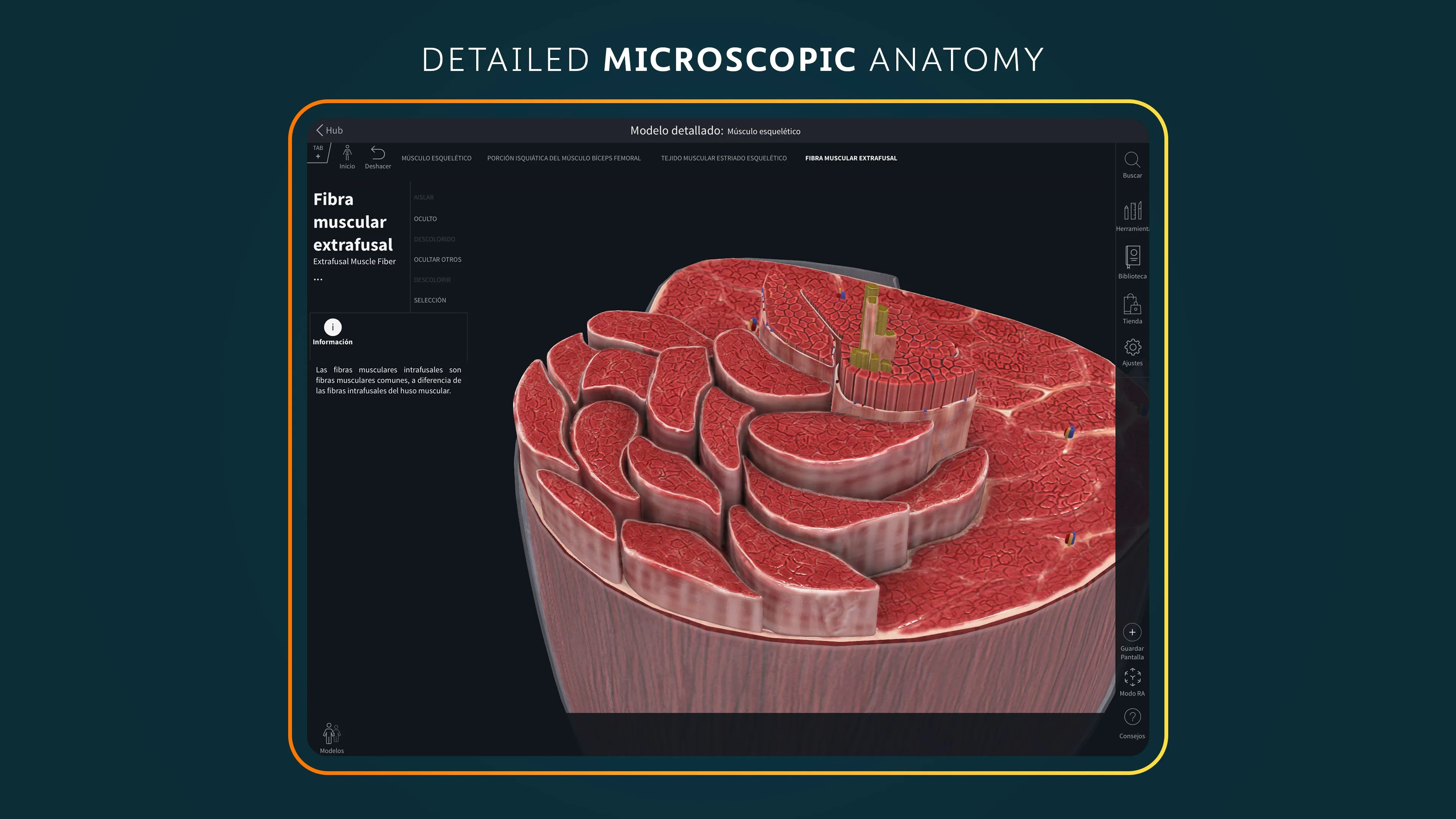 Complete Anatomy screenshot 2