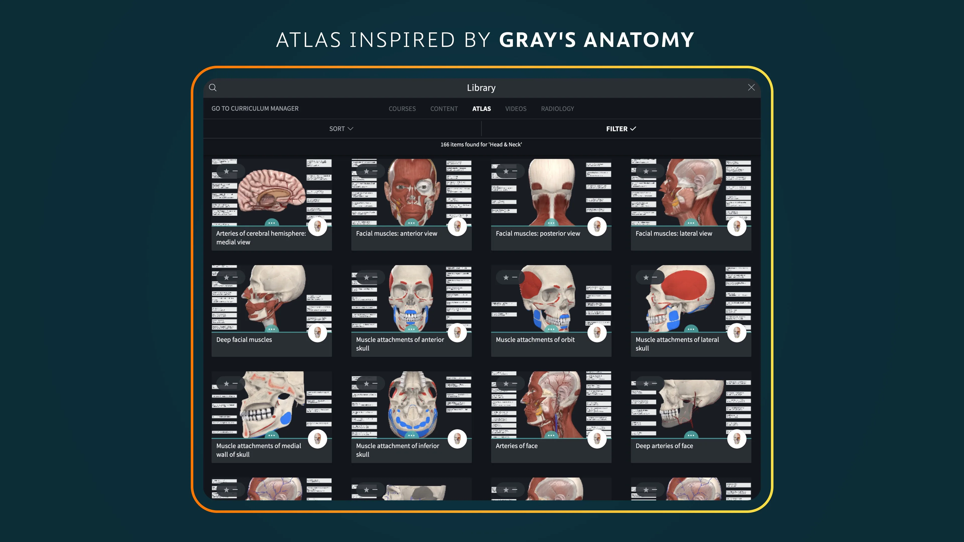 Complete Anatomy screenshot 3