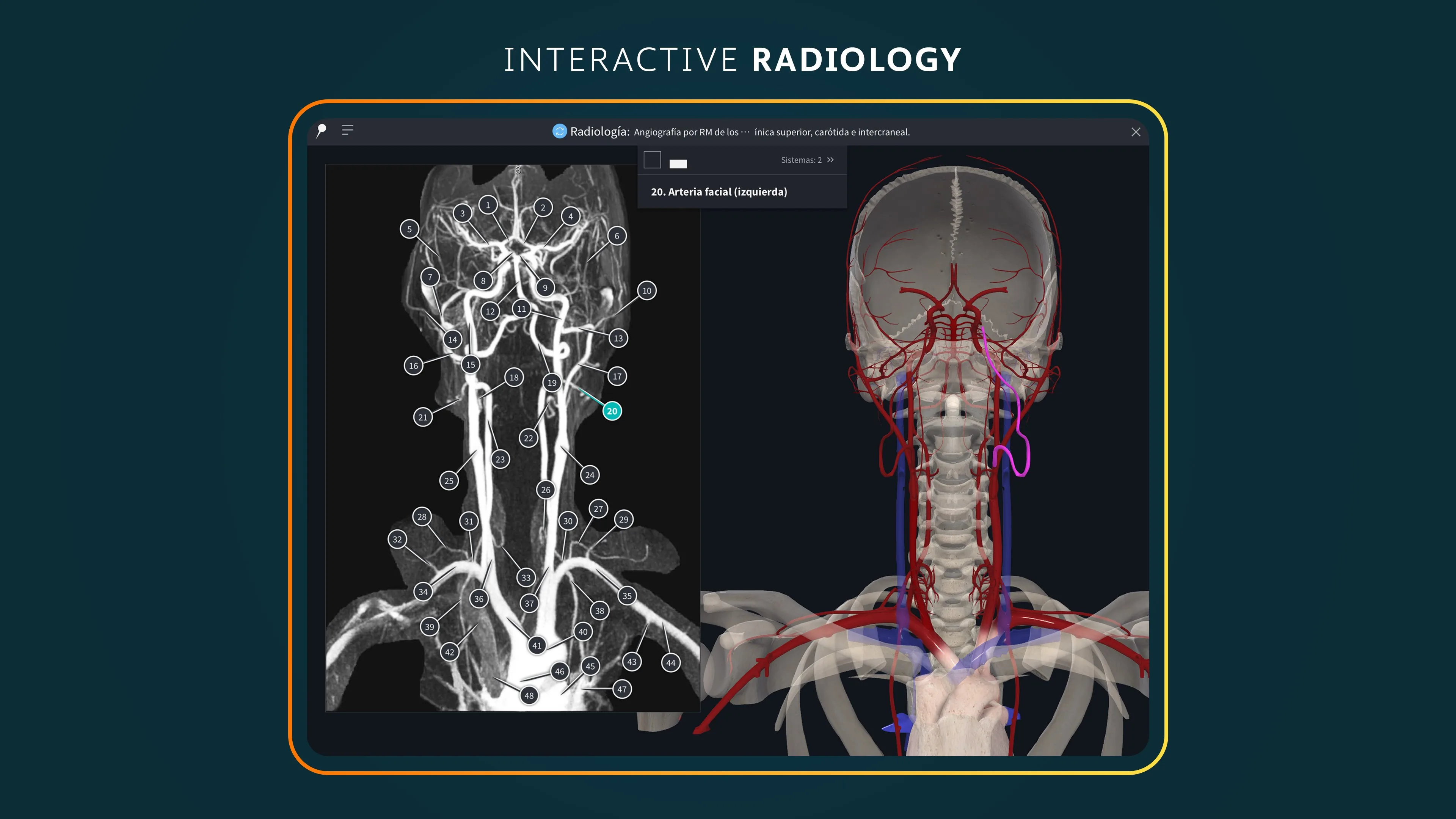 Complete Anatomy screenshot 4
