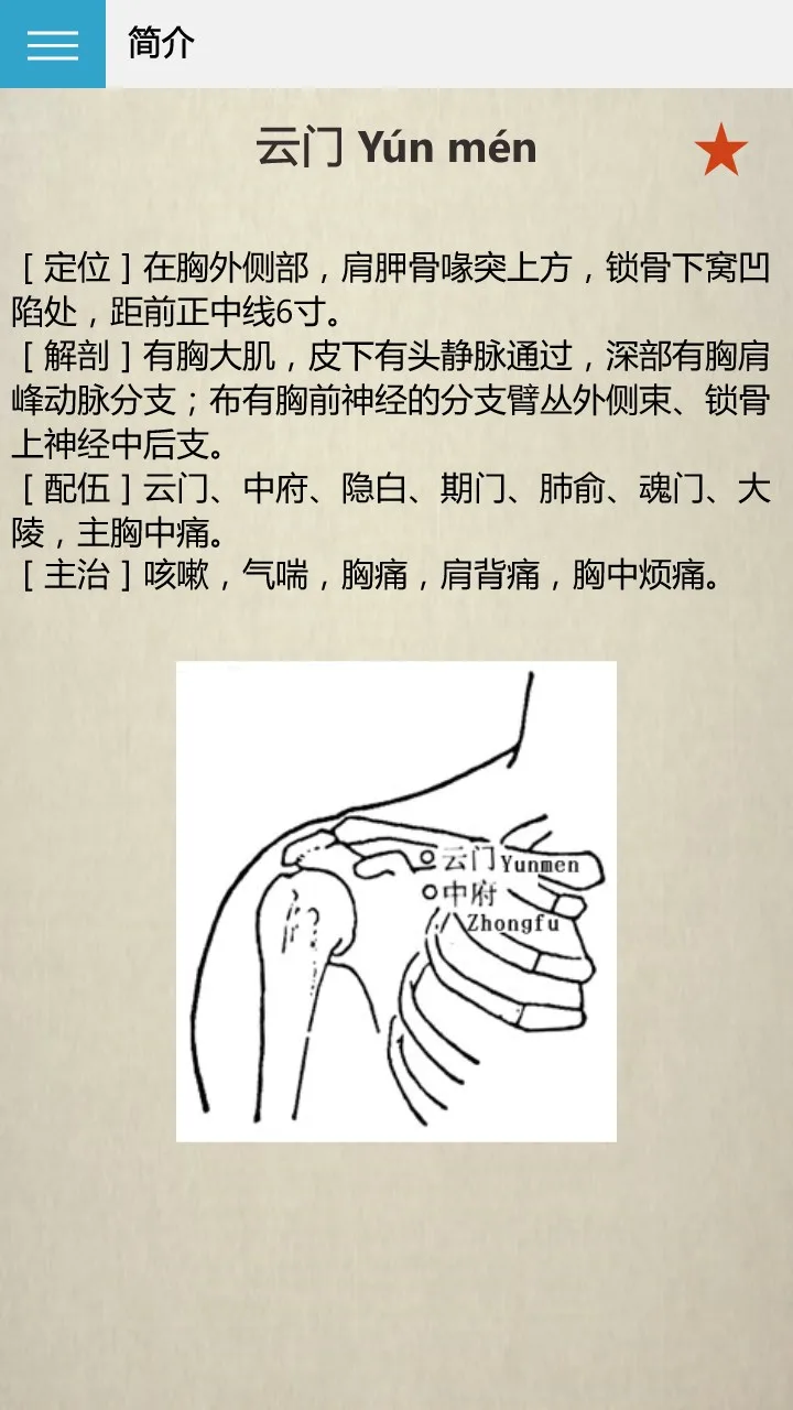 人体穴位图解UWP screenshot 4