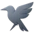 Raven for Network