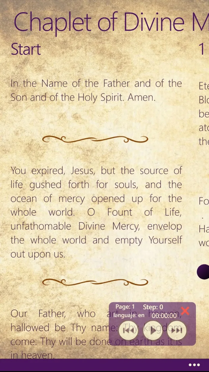 Divina Misericordia screenshot 3