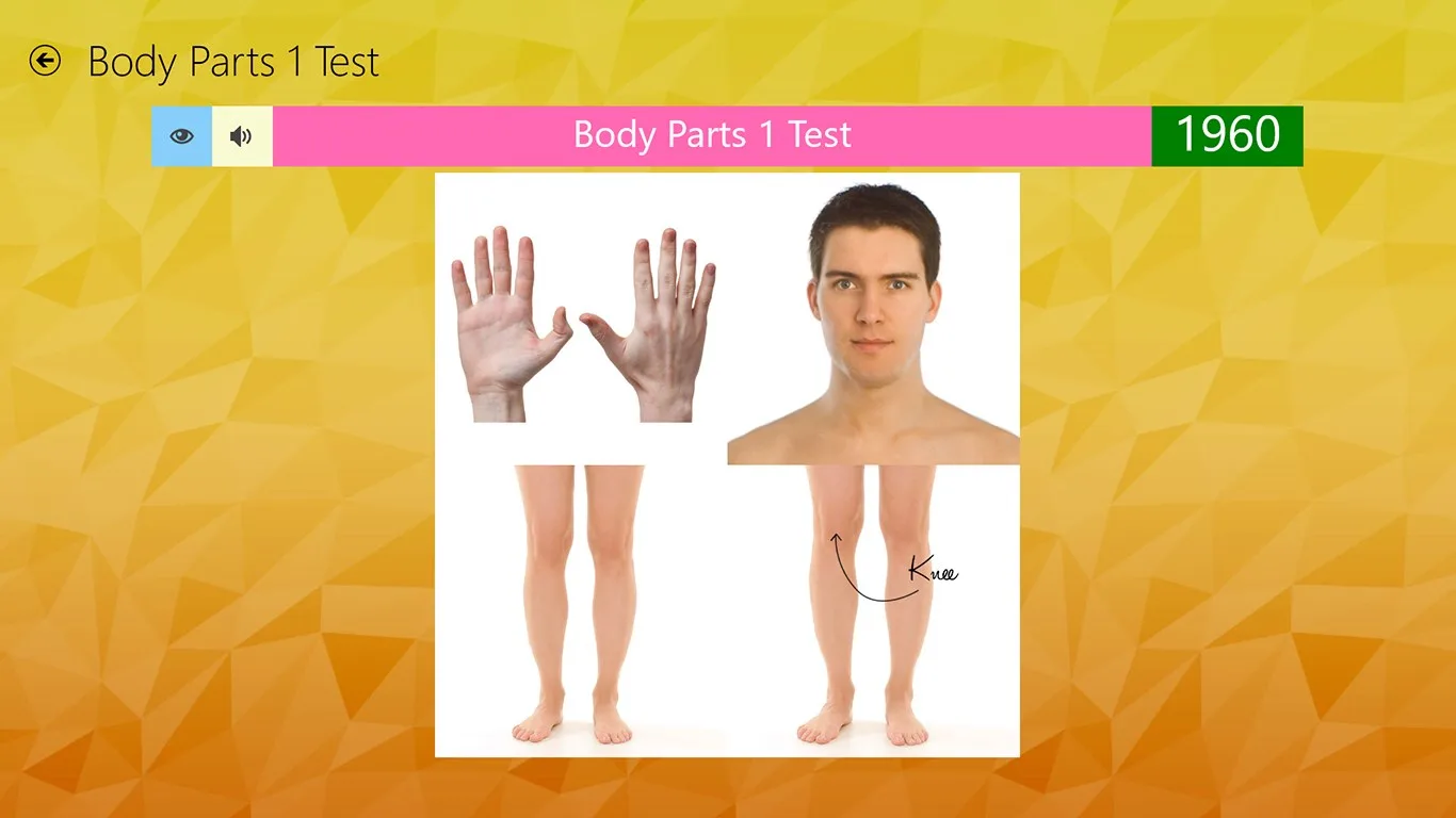 Learn English Words screenshot 1