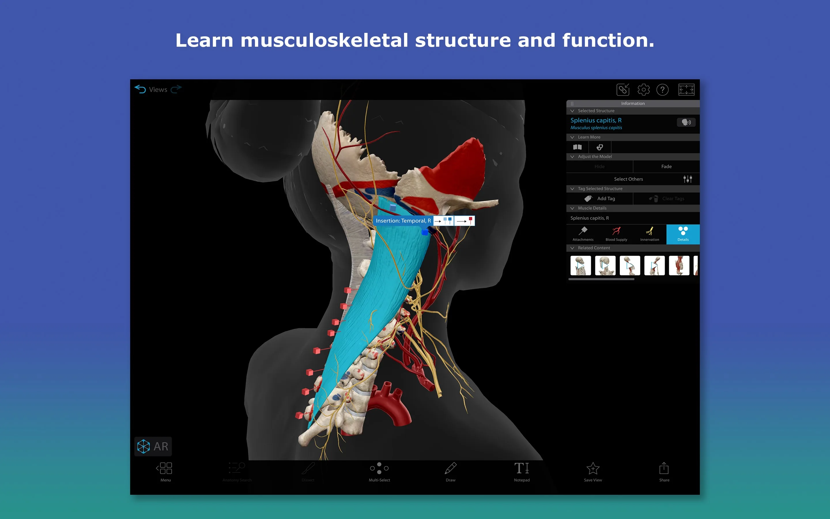 Atlas de anatomía humana 2026: Cuerpo humano completo en 3D screenshot 2